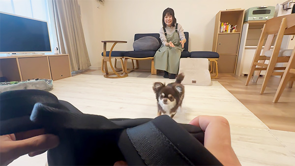 くるみ きょうのわんこ 写真2