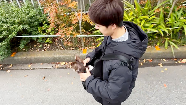 くるみ きょうのわんこ 写真4