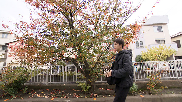 くるみ きょうのわんこ 写真5