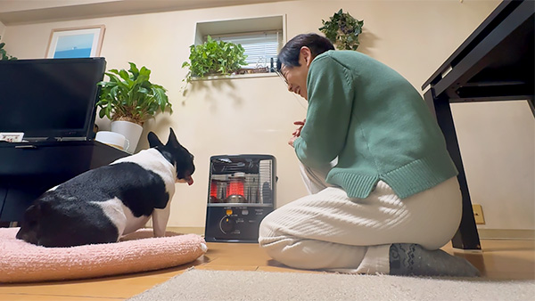 おじゃるまる きょうのわんこ 写真3