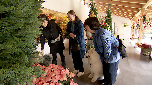 ココロ きょうのわんこ 写真5