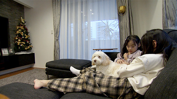 メリー きょうのわんこ 写真2