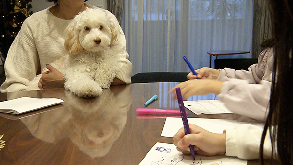 メリー きょうのわんこ 写真3