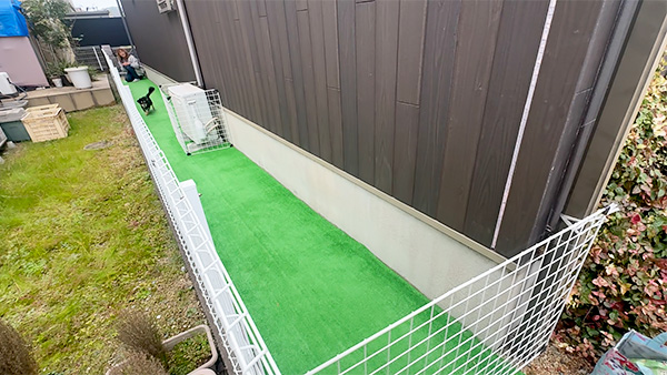 バウム きょうのわんこ 写真4