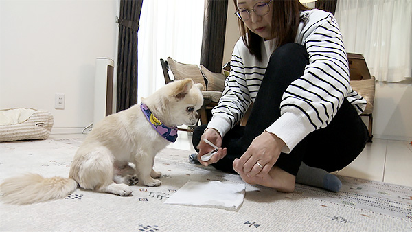 れお きょうのわんこ 写真4