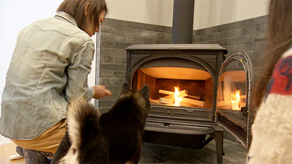 ひより きょうのわんこ 写真2