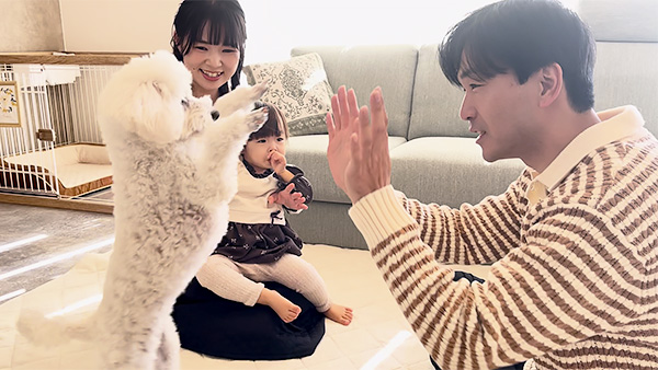 ましゅ きょうのわんこ 写真5