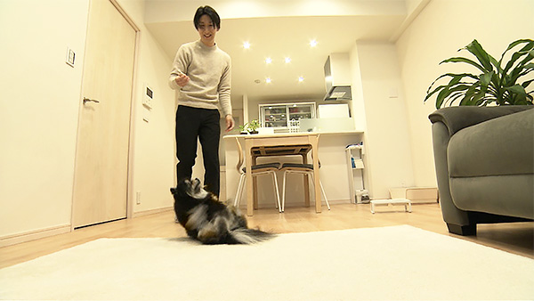 Ufo きょうのわんこ 写真3