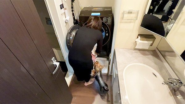 はなまる きょうのわんこ 写真2