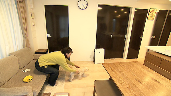 ひまわり きょうのわんこ 写真2