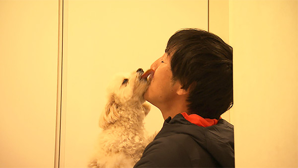 ひまわり きょうのわんこ 写真3