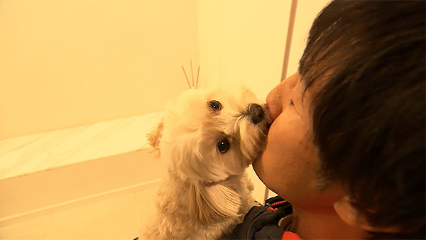 ひまわり きょうのわんこ 写真4