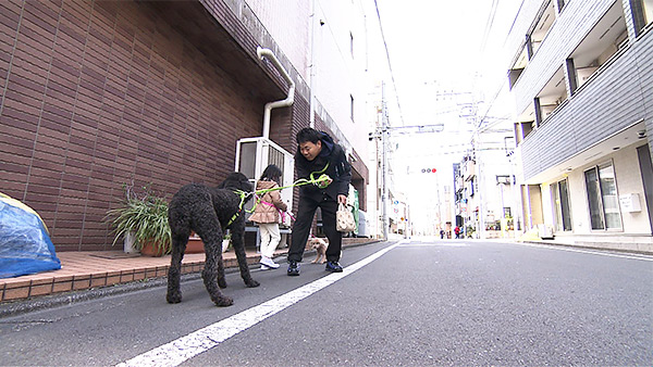 マックス きょうのわんこ 写真2