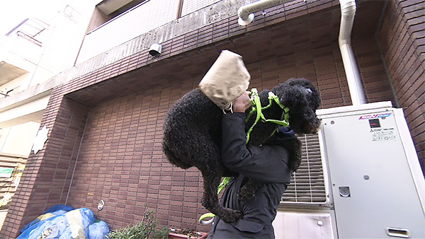 マックス きょうのわんこ 写真3