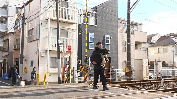 マックス きょうのわんこ 写真5