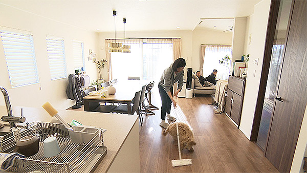 フリオ きょうのわんこ 写真5