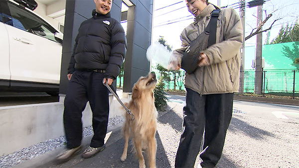 ビビ きょうのわんこ 写真2