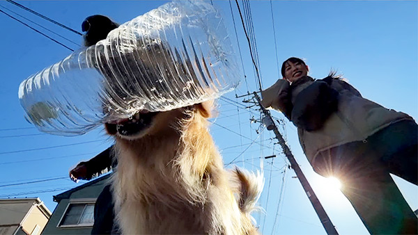 ビビ きょうのわんこ 写真4