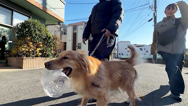 ビビ きょうのわんこ 写真5