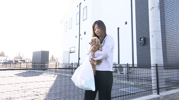 ぴの きょうのわんこ 写真5