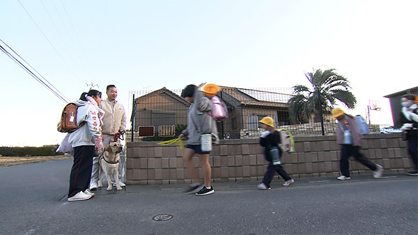 シンバ きょうのわんこ 写真2