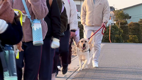 シンバ きょうのわんこ 写真3