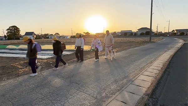 シンバ きょうのわんこ 写真4