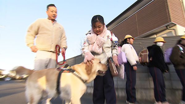 シンバ きょうのわんこ 写真5