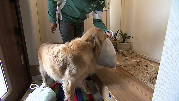 こむぎ きょうのわんこ 写真2