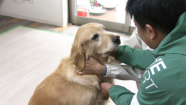 こむぎ きょうのわんこ 写真5