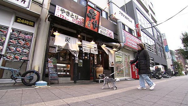 つむぎ きょうのわんこ 写真2