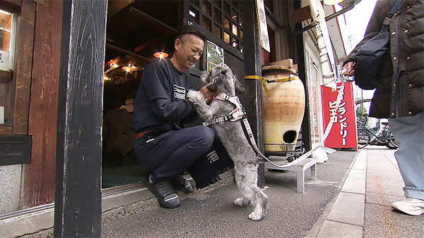 つむぎ きょうのわんこ 写真3