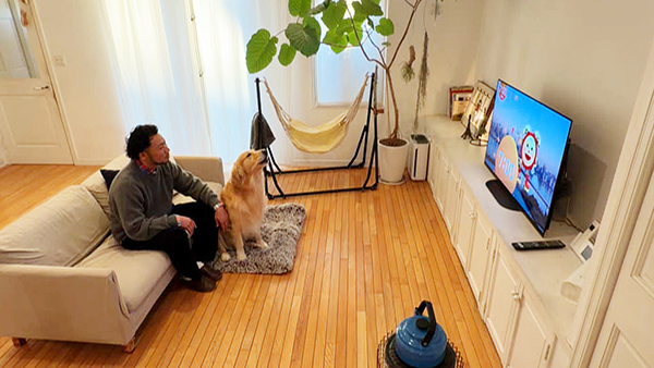 アーク きょうのわんこ 写真4