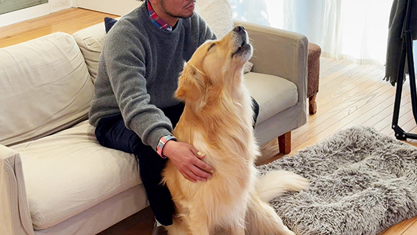 アーク きょうのわんこ 写真5