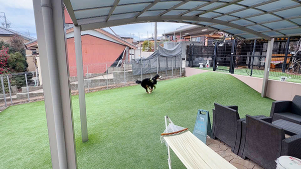 寿望（じゅの） きょうのわんこ 写真2