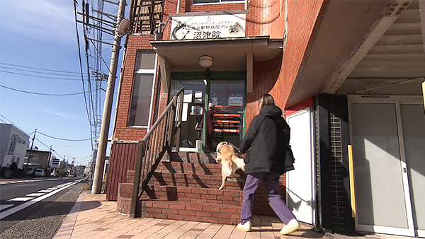 ティナ きょうのわんこ 写真3