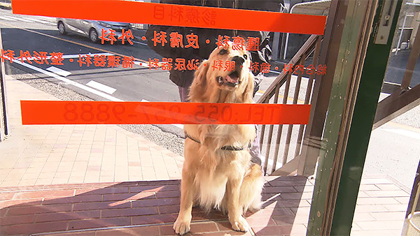 ティナ きょうのわんこ 写真4