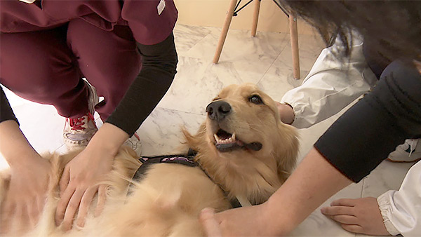 ティナ きょうのわんこ 写真6