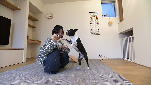 モノ きょうのわんこ 写真2