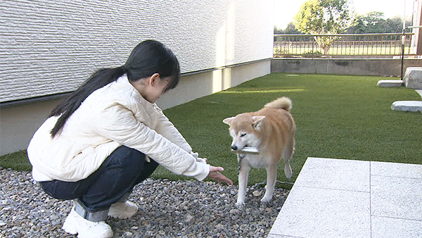 凛 きょうのわんこ 写真3