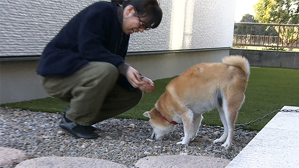 凛 きょうのわんこ 写真5