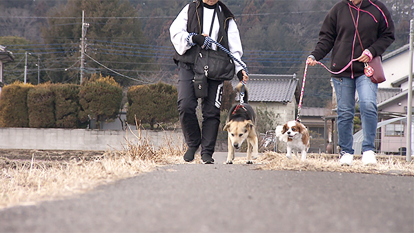 COCO きょうのわんこ 写真4