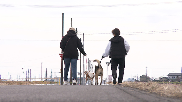 COCO きょうのわんこ 写真5