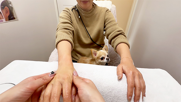 ラテ きょうのわんこ 写真3