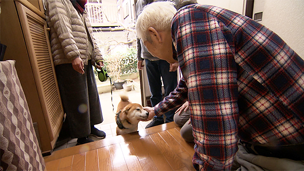 武蔵 きょうのわんこ 写真4