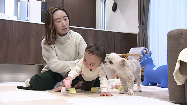 レア きょうのわんこ 写真2