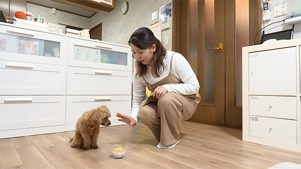 メル きょうのわんこ 写真3