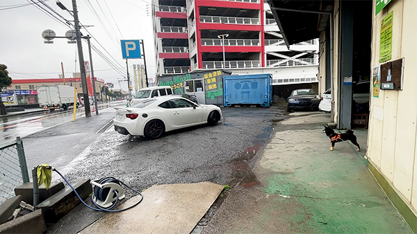 クリル きょうのわんこ 写真3