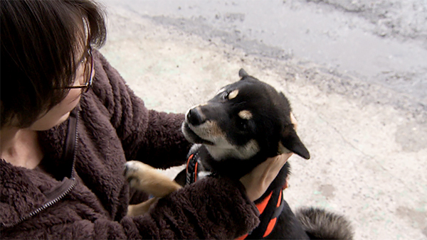 クリル きょうのわんこ 写真4