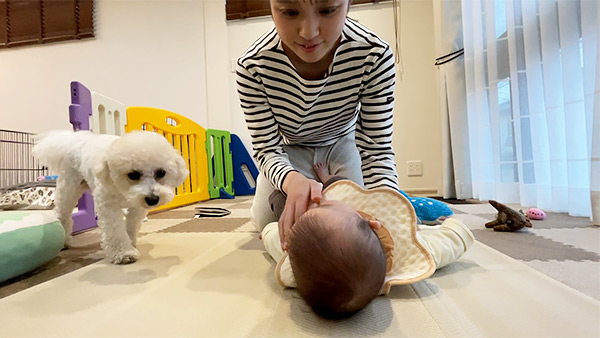 くるみ きょうのわんこ 写真2